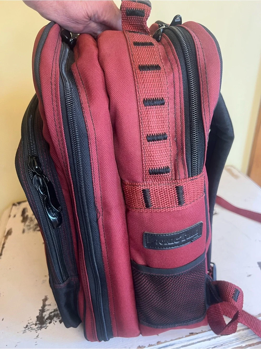 Mazda Miata 2000 Special Edition Backpack Picnic Set